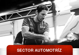 Herramientas para el Sector Automotriz